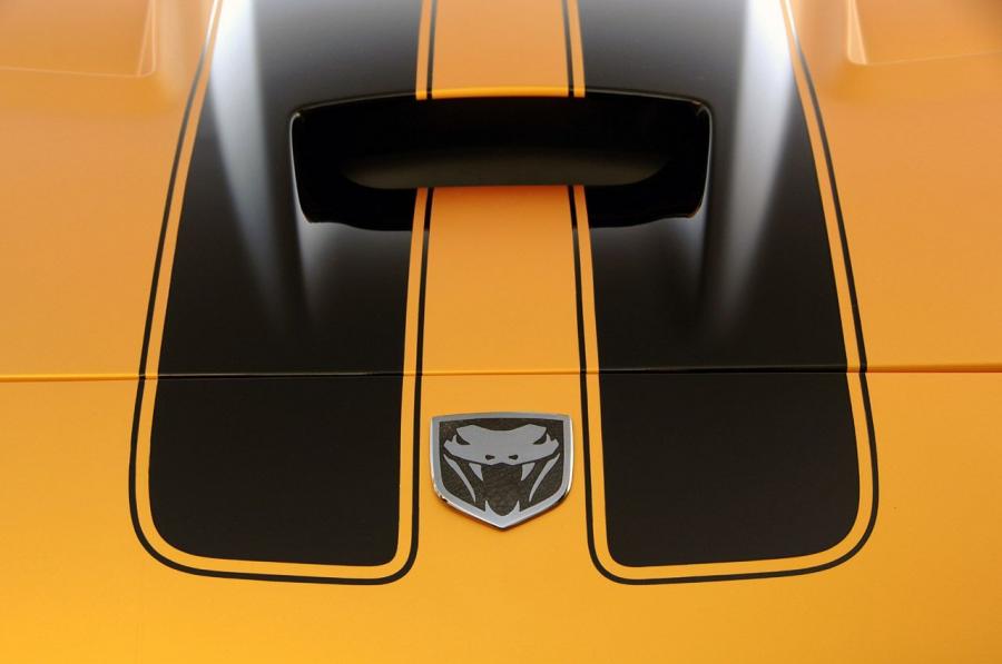  Dodge Viper 50th Anniversary by Hurst 2009 года  (фото 18 из 26)
